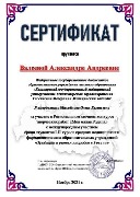 Сертификат Валеева А.А.