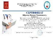 сертификат Ибраева В.Р.