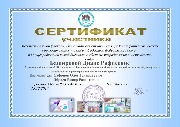 сертификат студента Баширова Д.Р.