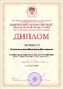 Диплом Шагимарданова М.Р.