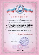 Сертификат студента Сафина Л.Т.