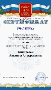 Сертификат Баширова А.А.