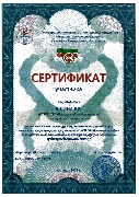 Сертификат Яшина Е.В.