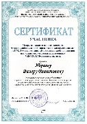Ибраев И.В. Сертификат (pdf.io)