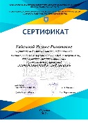 Сертификат Гайсиной Р.Р. (хир.калйодоскоп)