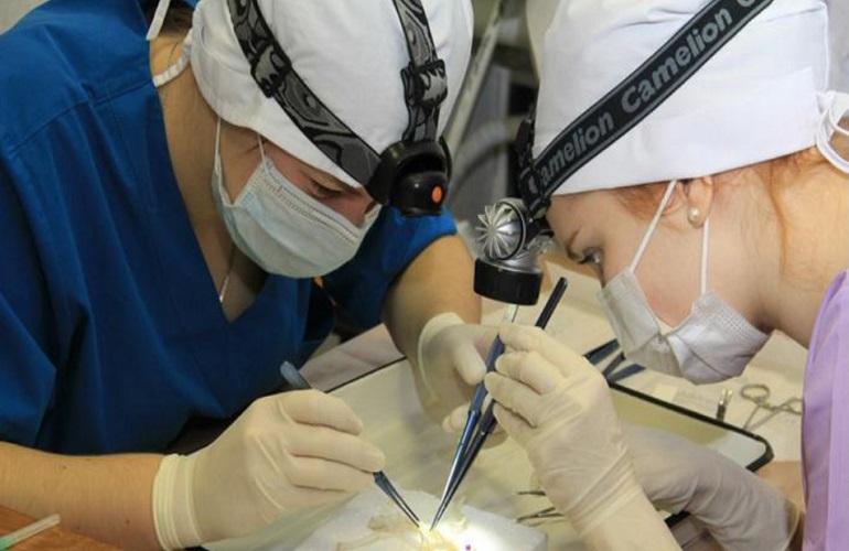 Фото на сайт_page-0001.jpg