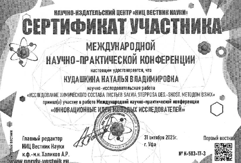 image2_2.jpeg
