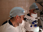 Всероссийский центр глазной и пластической хирургии "Аллоплант" принял участие во Всероссийской научно-практической конференции