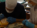 The University identified the winners of the Olympiad in surgical dentistry