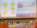 Young scientists of the University took part in the event of the International Society of Urology in Italy