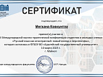 Студенты БГМУ приняли участие в III Международной конференции «Русский язык как иностранный: новый взгляд и перспективы»