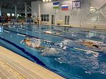 International students took part in BSMU "Swimming Championship" among the teaching staff and students of the Faculty of Dentistry