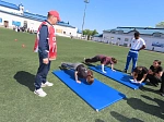В БГМУ прошел фестиваль ГТО