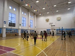 Start of the year with sports: BSMU hosts a large-scale Sports Festival 