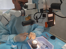 На кафедре офтальмологии и оптического приборостроения проходят обучение студенты Университета