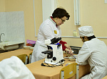 The Microbiology Winter School provided students with experience in various microbiological techniques