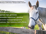 Межрегиональная терапия по абилитации и реабилитации с использованием лошади