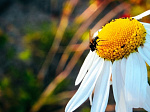 «За это я люблю Россию», объявляется фотоконкурс