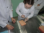В БГМУ состоялась внутривузовская олимпиада по хирургии среди студентов младших курсов