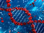 Международный День ДНК отметят в Институте урологии и клинической онкологии БГМУ