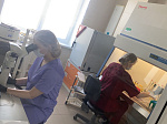 Университет принял участие в выездном Пленуме Совета по биологии в Нижнем Новгороде