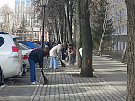 Студенты БГМУ приняли участие в общегородском субботнике 