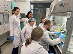 Ученые Университета освоили технологию создания органоидов из клеток рака простаты