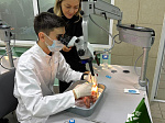 Студент БГМУ Александр Исаметов занял призовое место в олимпиаде «Стоматология под микроскопом»