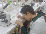 Students from Kazakhstan undergo practical training at BSMU
